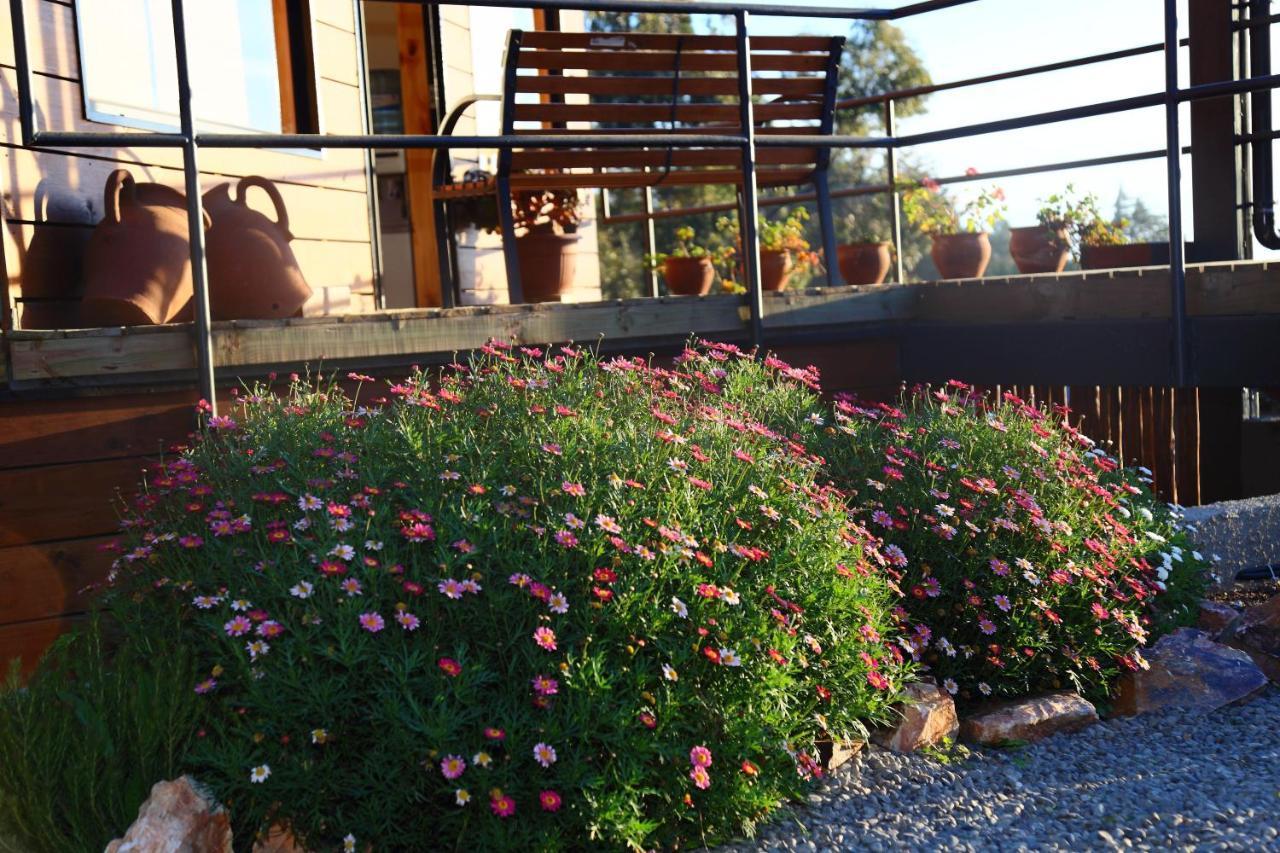 Cabanas Y Spa Costa Patagonia - Piscina Climatizada Pichilemu Exteriér fotografie